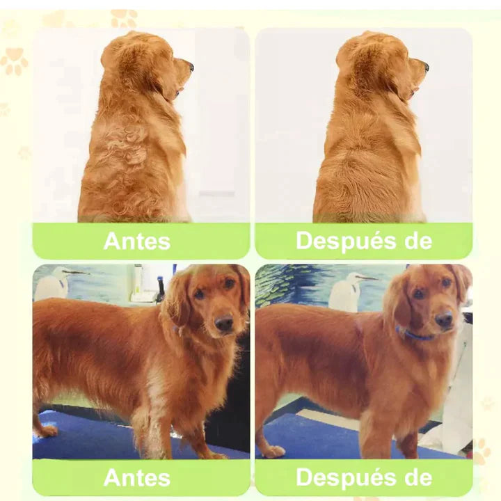 Escova a Vapor 3 em 1 para cães e gatos Puffy™